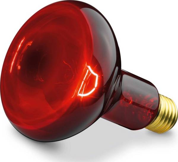 BEURER - Infrarotlampe IL 11 Ersatzstrahler