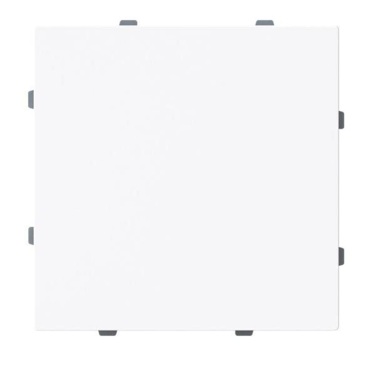 ABB - Blindzentralscheibe 1742-44G m.Tragring-0