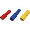 Weidmüller 1492010000 Rundsteckhülse 4 mm² 6 mm² Vollisoliert Gelb 100 St.