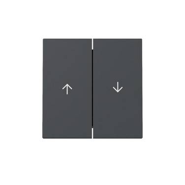 GIRA - 329428 Wippe 2f Pfeil Anthrazit