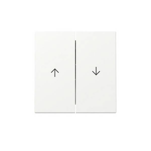 GIRA - 329427 Wippe 2f Pfeil Reinweiß m