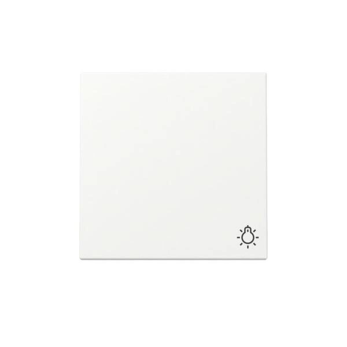 Gira Wippe Symb. Licht 328527-0