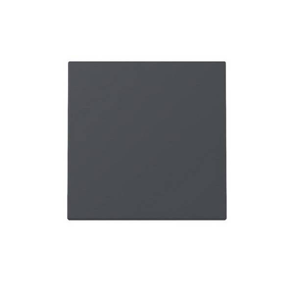 GIRA - 329628 Wippe Anthrazit