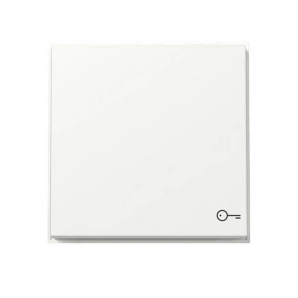 Gira Wippe Symb. Tür 328766