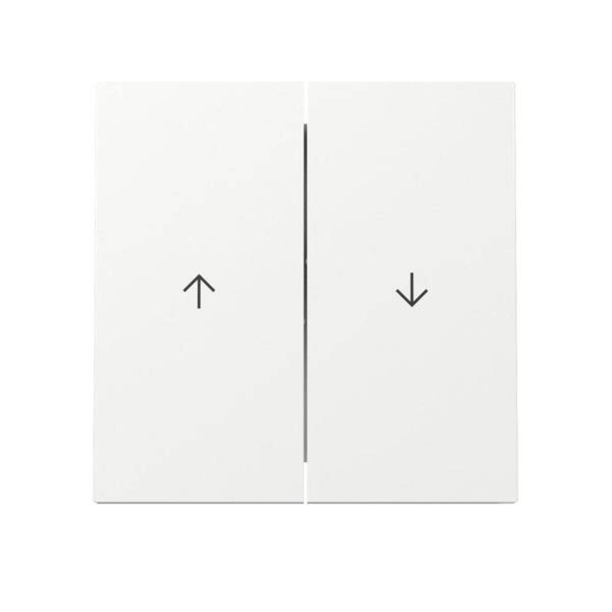 GIRA - Wippe 329470 2f Pfeil FL RW