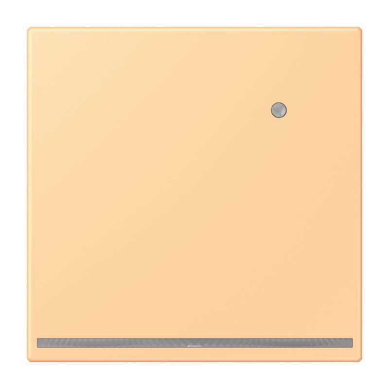 Jung LED-Orientierungslicht LC 1539-O LNW 258-0