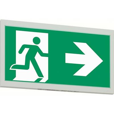 Ceag Notlichtsysteme Rettungszeichenleuchte-0