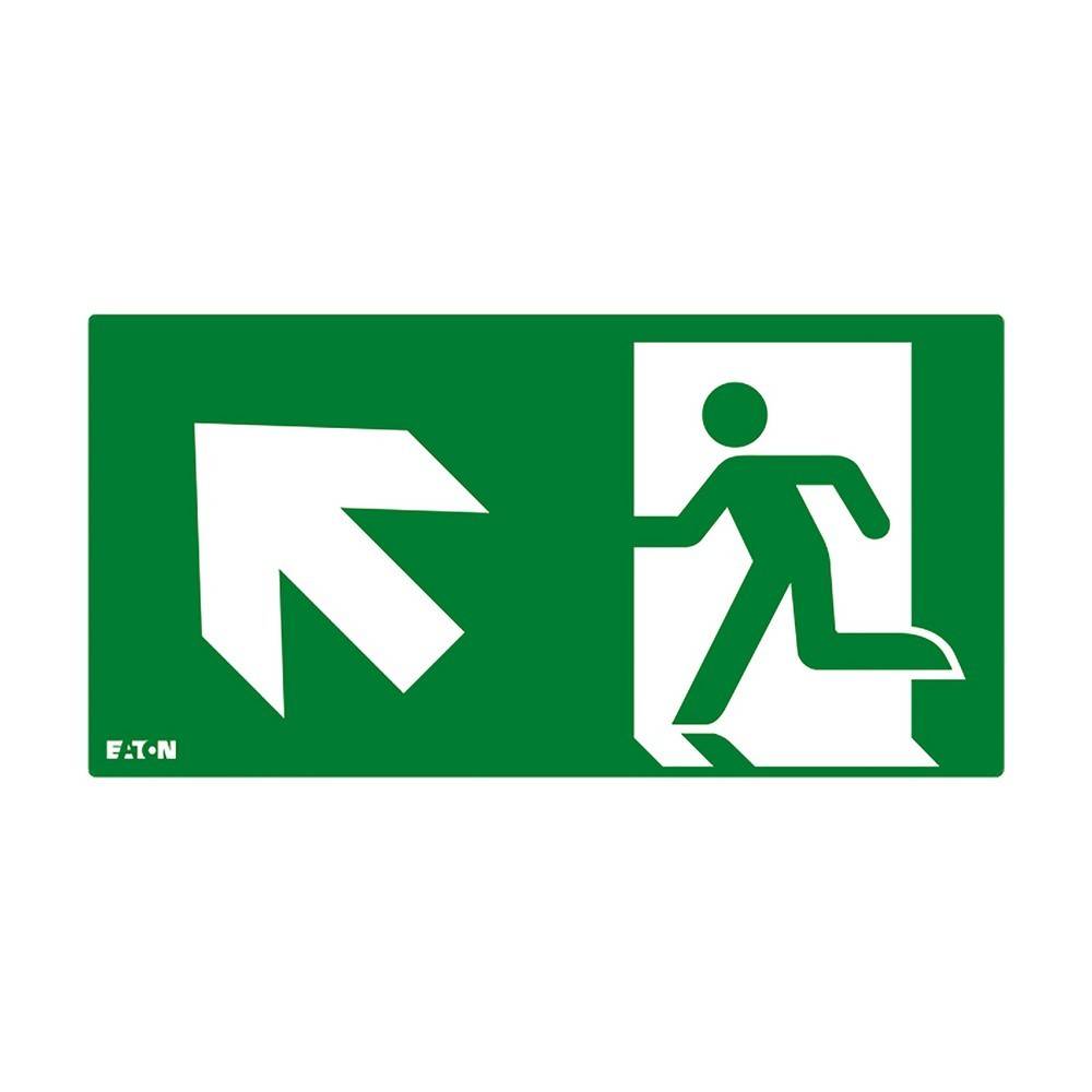 Ceag Notlichtsysteme Piktogramm FT3EWEC-PICTO-UL-0