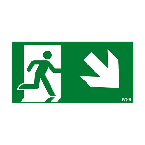 Ceag Notlichtsysteme Piktogramm FT3EWEC-PICTO-DR