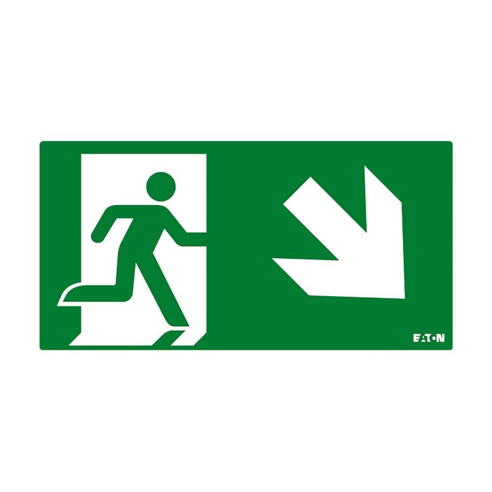 Ceag Notlichtsysteme Piktogramm FT3EWEC-PICTO-DR-0