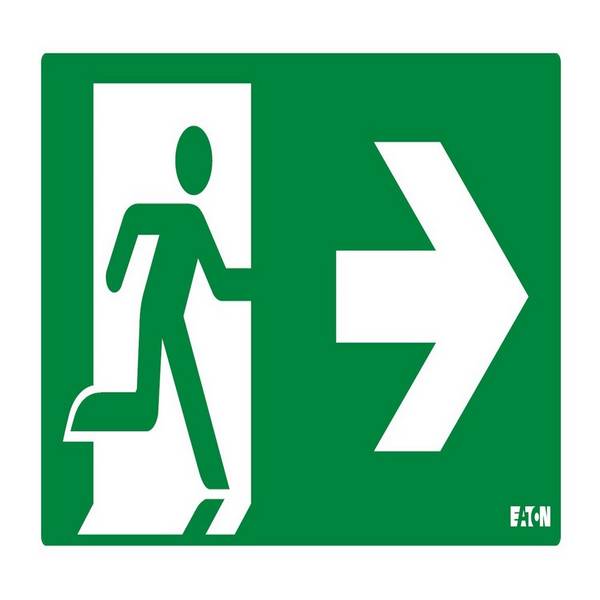 Ceag Notlichtsysteme Piktogramm LUM10589