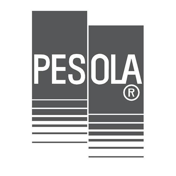 Taschenwaage Robust LCD 500g PESOLA-3