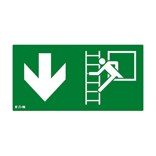 Ceag Notlichtsysteme Piktogramm FT3EWEC-PICTO-EWD