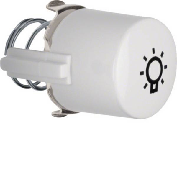 Hager Tasterknopf WTF5285WG1