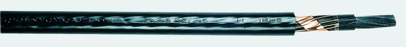 NYCY 10x2,5 RE4.0 qmm Eca-0