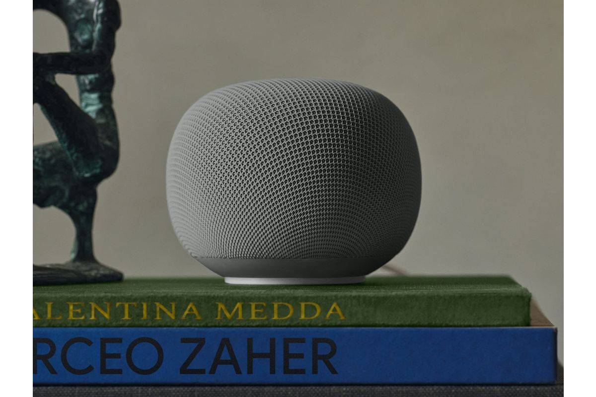 Google Home - Lautsprecher - Kabellos 396 g - Schwarz, Grau-1