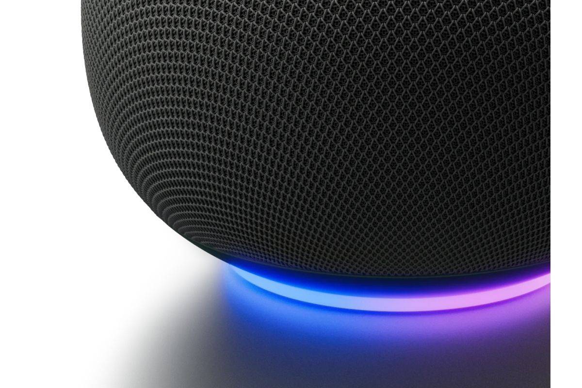 Google Home - Lautsprecher - Kabellos 396 g - Schwarz, Grau-2