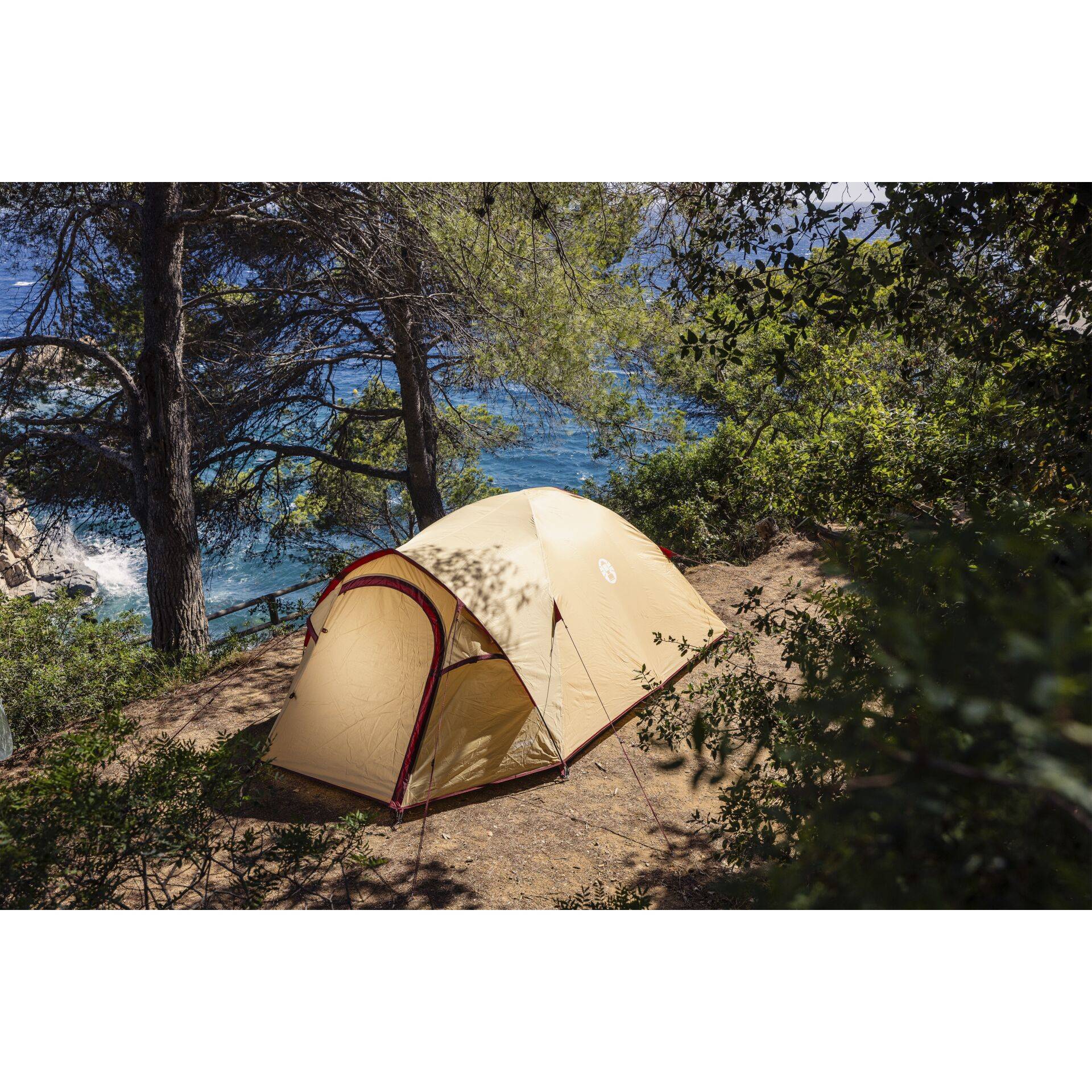 Coleman Darwin Summer 3 Plus Home & Living Outdoor & Camping Zelte-4