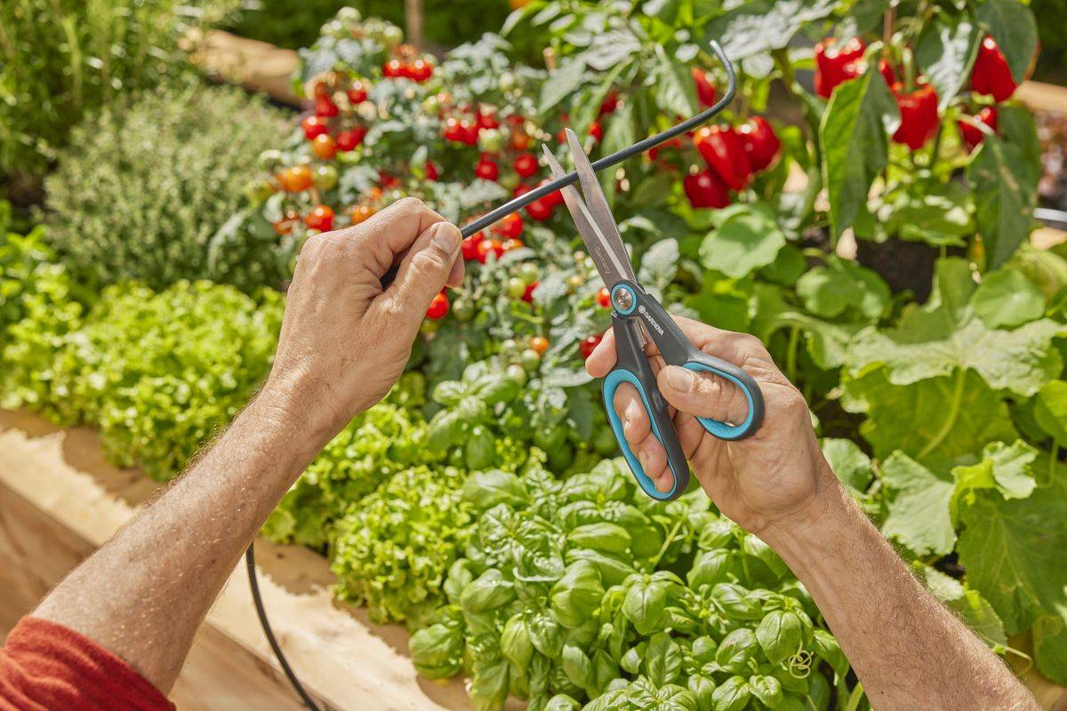 GARDENA - Solar-Bewässerung AquaBloom L Set-5