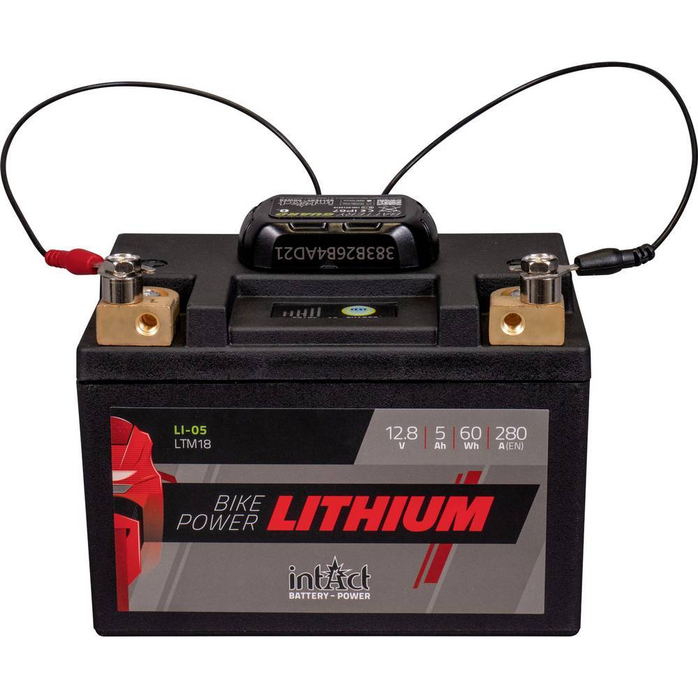 inTact Batterieüberwachung GL10 Battery-Guard 12 V Bluetooth® und appfähig-3