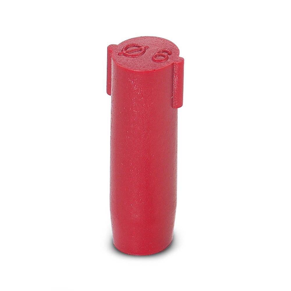 SEALING PLUG 6X16 RD-0