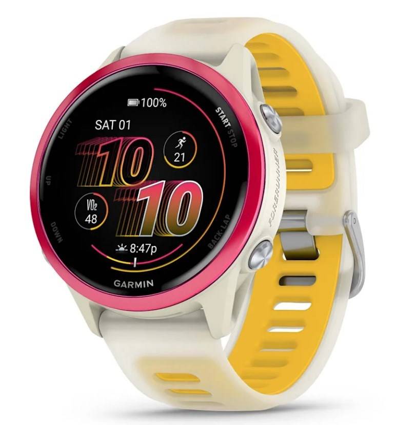 Garmin Forerunner 570 Rasperry Aluminium-0