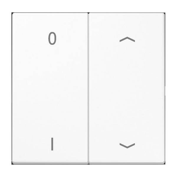 JG ENO LS 995 P01 WW EnOcean Funk-Wandsender, Symbole 01, Pf