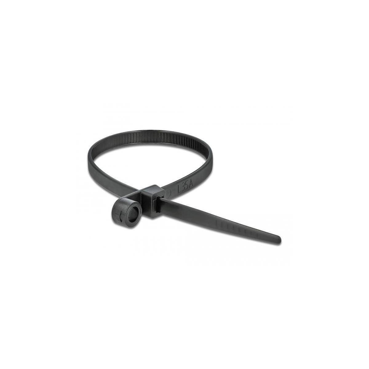 Delock Cable Tie with Fastening Eyelet - Kabelbinder - 30 cm - Schwarz (Packung-1