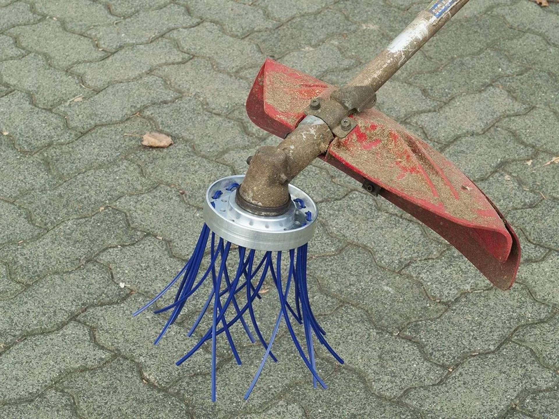 Westfalia Wildkrautbürste Octo-1