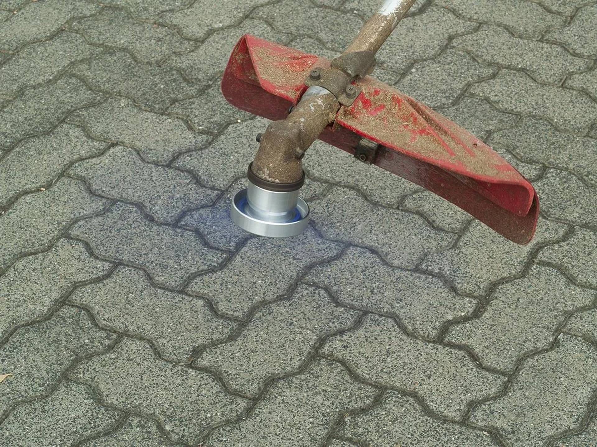 Westfalia Wildkrautbürste Octo-3