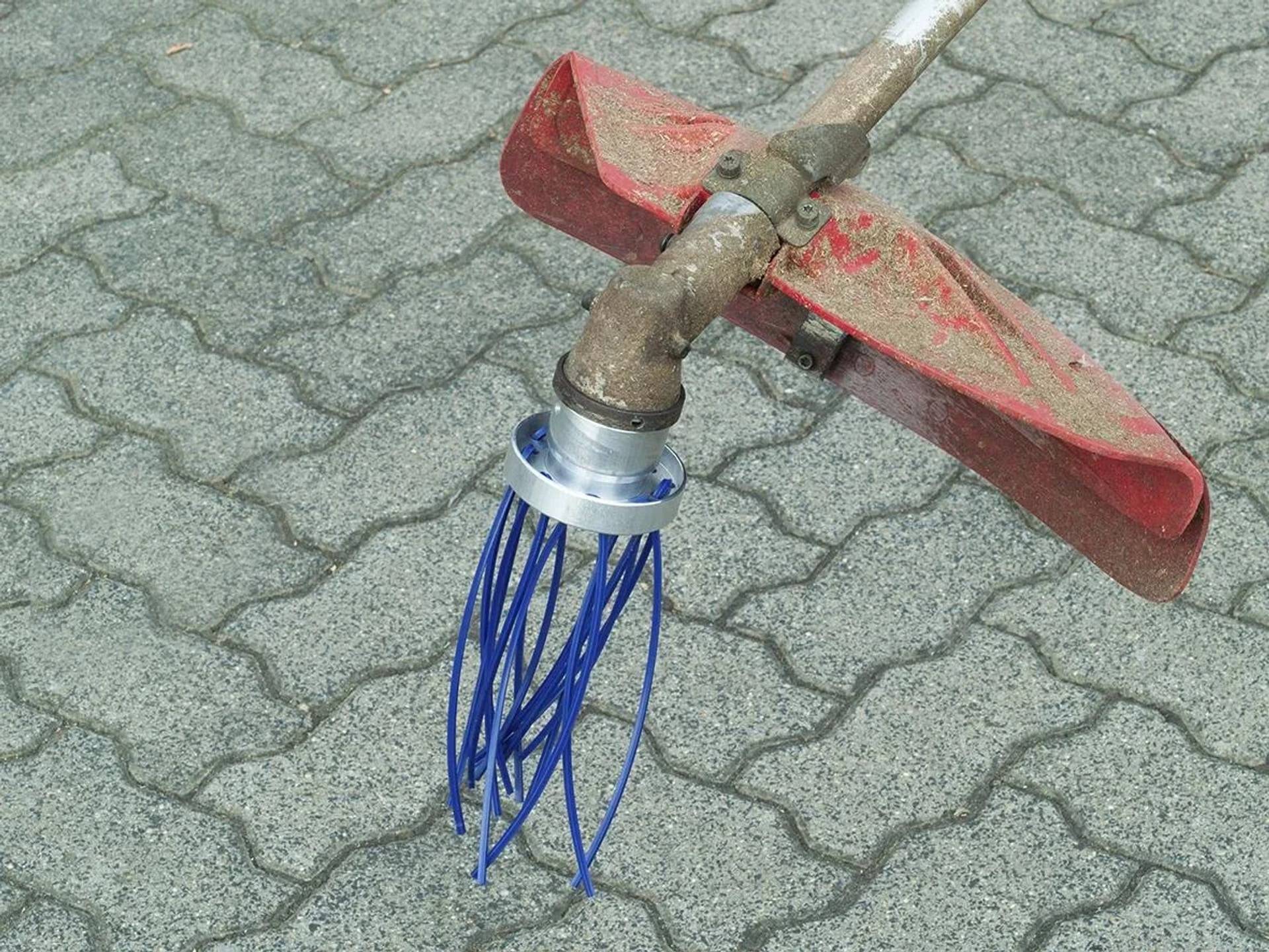 Westfalia Wildkrautbürste Octo-4