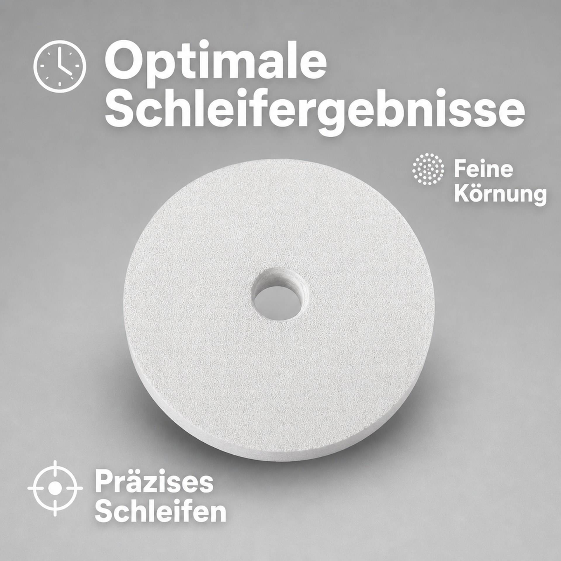 Westfalia Schleifstein 100 x 20 x 16 mm zur Schleifmaschine Nr. 951099-5