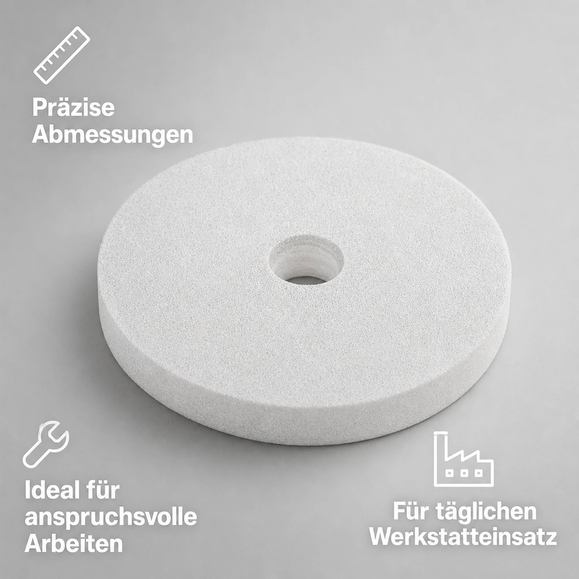 Westfalia Schleifstein 100 x 20 x 16 mm zur Schleifmaschine Nr. 951099-6