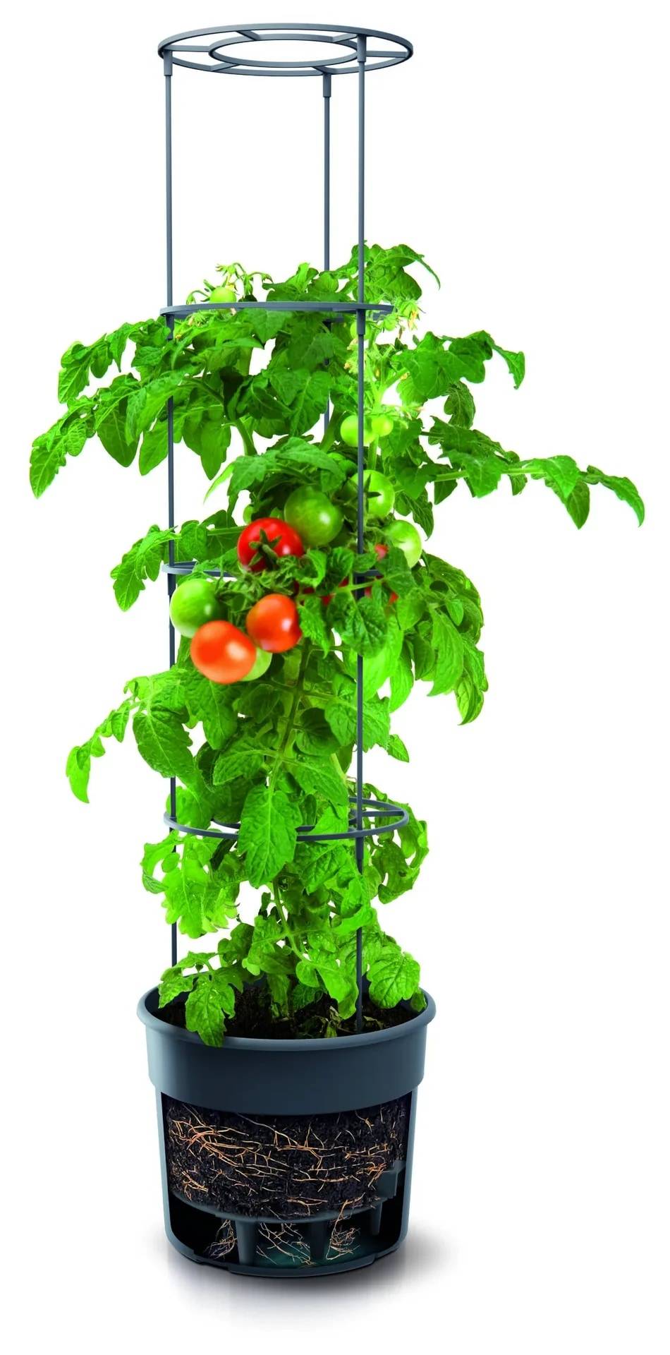 Anzuchttopf für Tomaten "Grow 2", Ø 392 mm, anthrazit-3