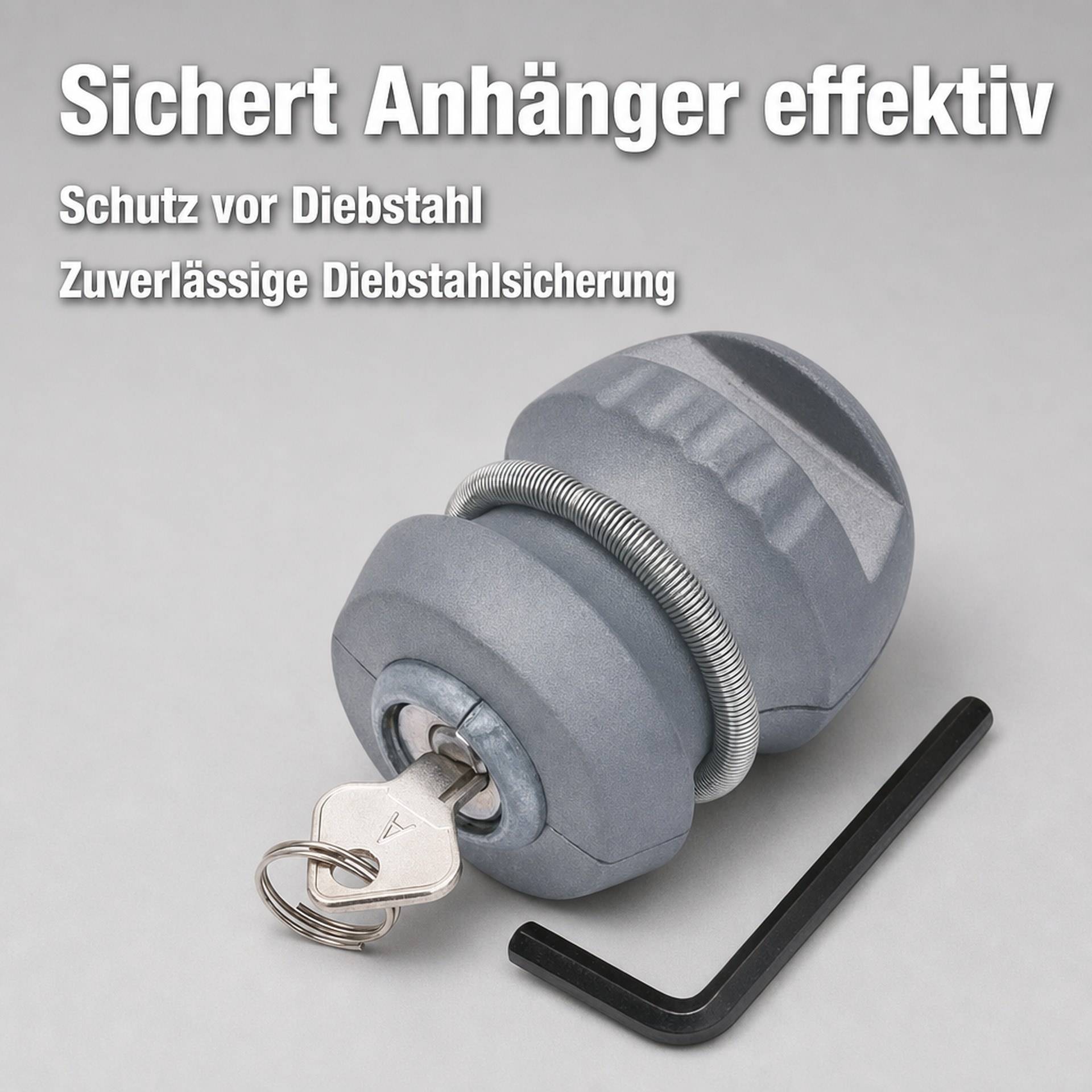Diebstahlsicherung für Anhänger EI DES KOLUMBUS-2