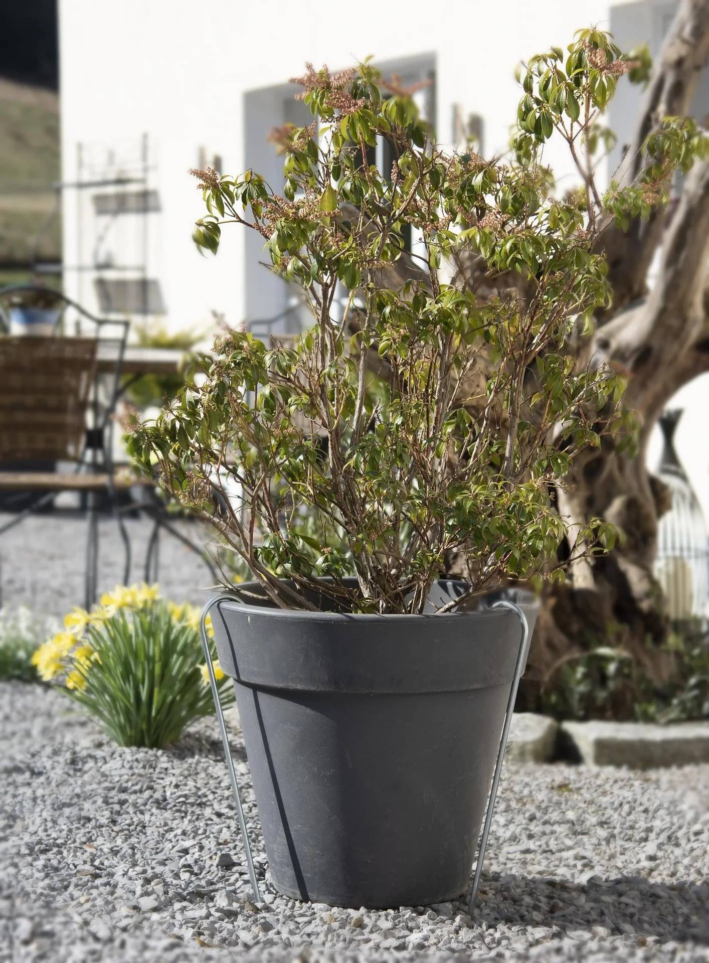 GartenMeister Bodenanker XL Metall 50 cm-1