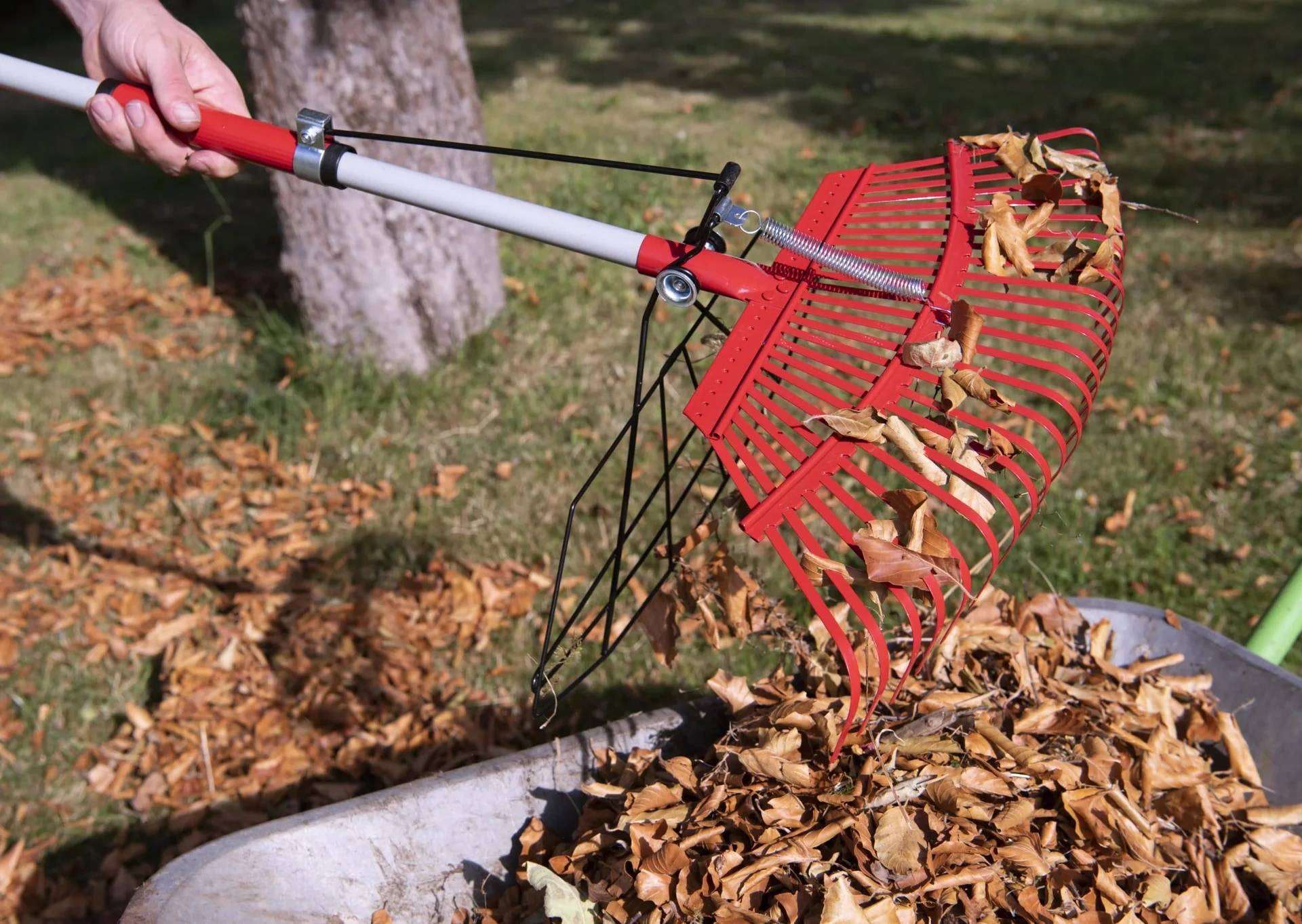 GartenMeister Universal-Rechen mit Greifer, 25 Zinken, teleskopierbar-1