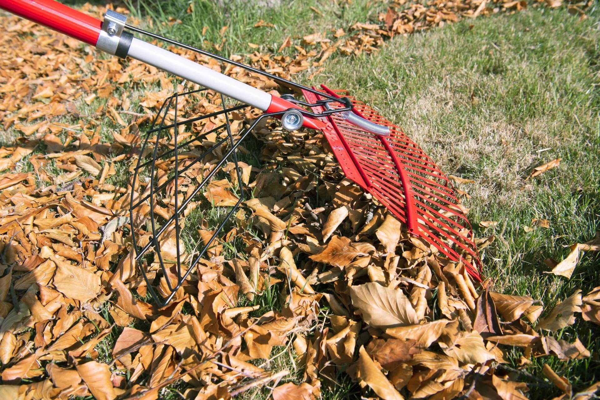 GartenMeister Universal-Rechen mit Greifer, 25 Zinken, teleskopierbar-4