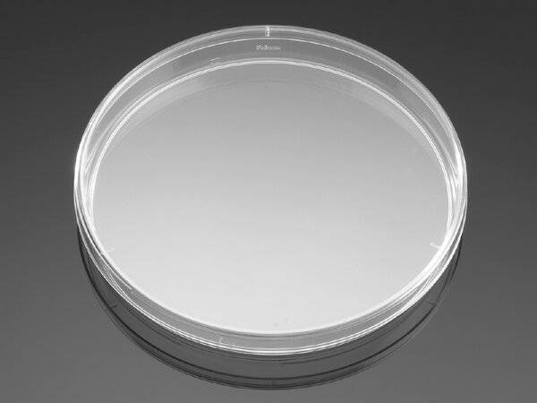 Falcon® Standard-Petrischalen 150 x 15 mm, steril, 100 St./Pack-0
