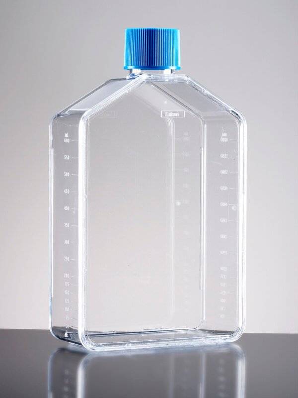 Falcon® 175cm² Rectangular Straight Neck Cell Culture Flask with Plug Seal Cap-0