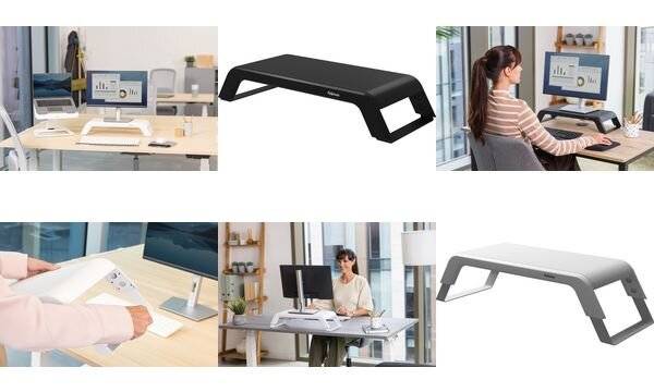 Monitorständer Hana LT ws-2