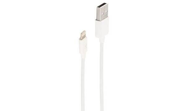 shiverpeaks BASIC-S Daten- & Ladekabel, USB-A - 8-Pin, 5,0 m (22229333)-3