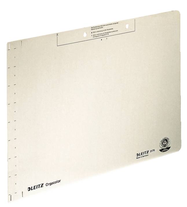 Leitz Einlegeblatt OC 21780011 chamois 100 St./Pack.-2