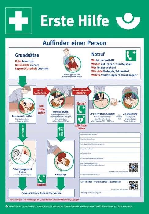 Aushang Erste Hilfe nach DGUV Information 204-001, PVC, 410x590 mm-2