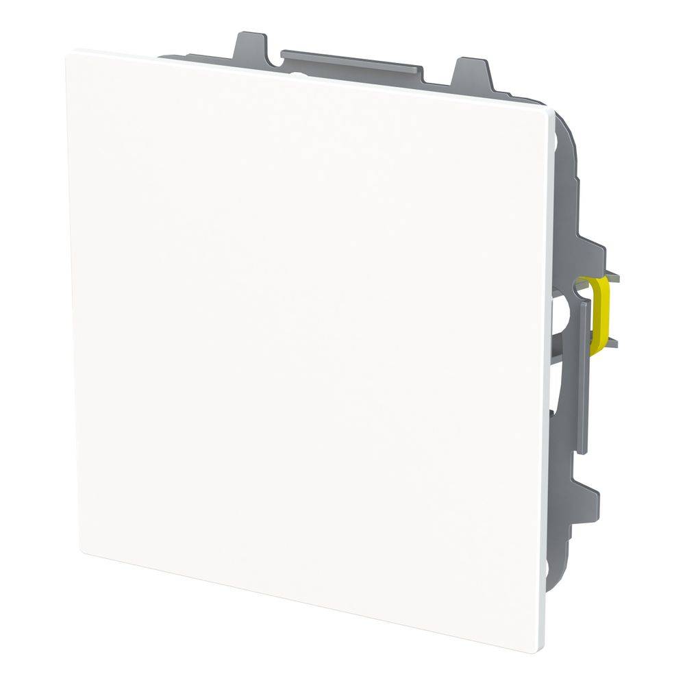 ABB - Blindzentralscheibe 1742-44G m.Tragring-1
