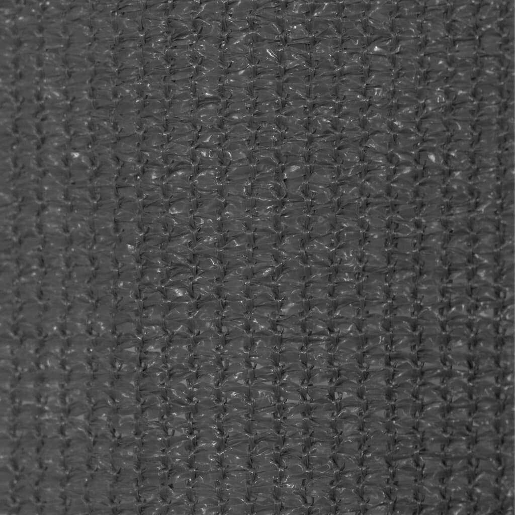 Außenrollo 60x230 cm Anthrazit-1