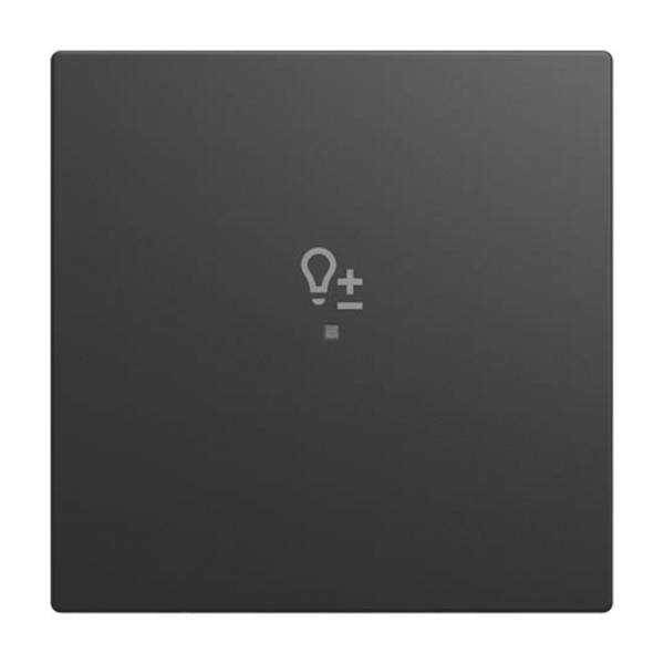 BJ 6234-10-915 Wippe 1-fach, mit Symbol "Dimmer" Busch-balance® SI