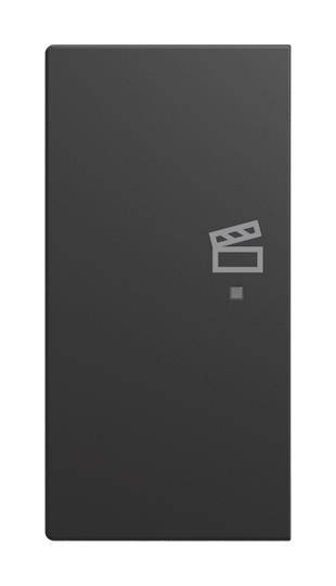 BJ 6233-21-915 Wippe 2-fach links, mit Symbol "Szene" Busch-balance® SI-0