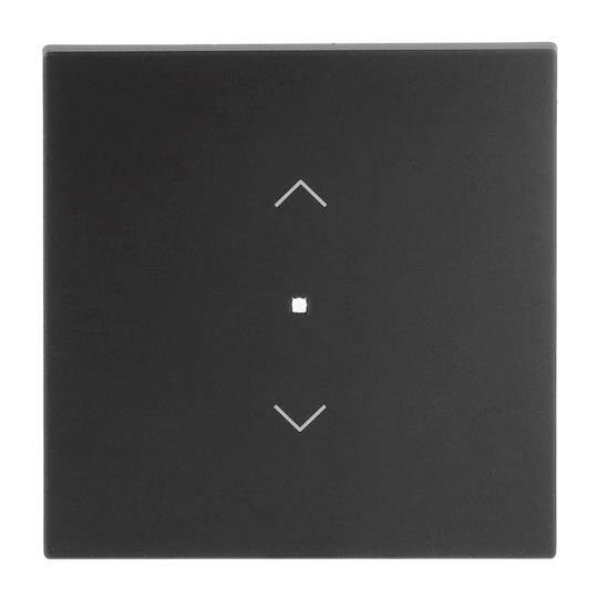 BJ 6232-10-45M Wippe 1-fach mit Symbol "Jalousie"-0