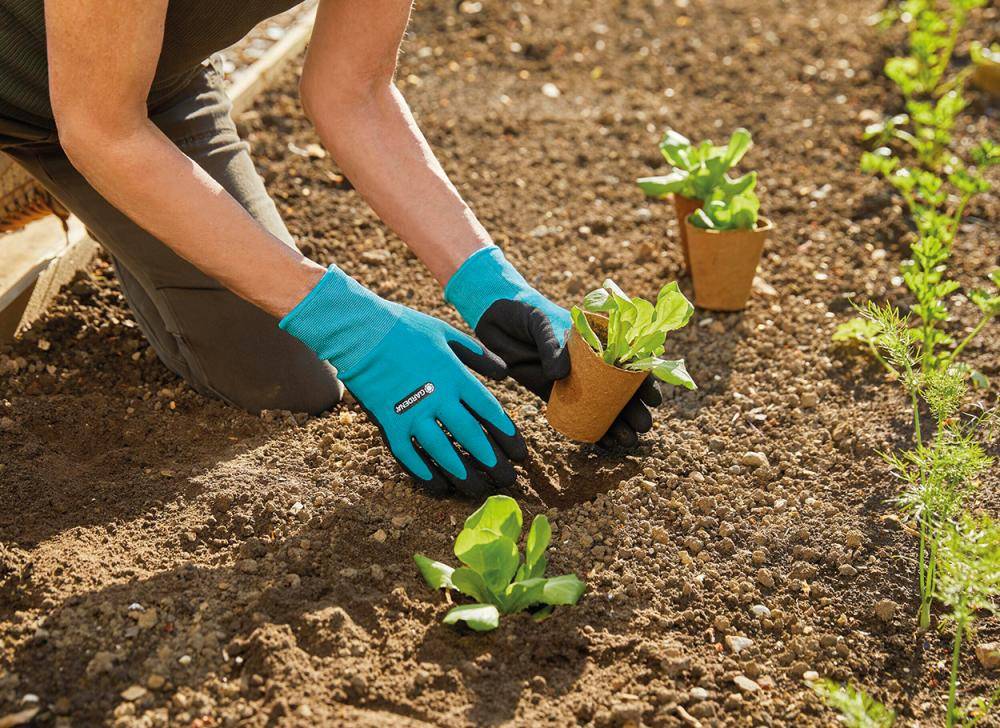 Gardena 11511-20, Gartenhandschuhe, Schwarz, Blau, M, Elastan, Nitril, Polyester, 42% Polyester, 55% Nitril, 3% Elasthan-2